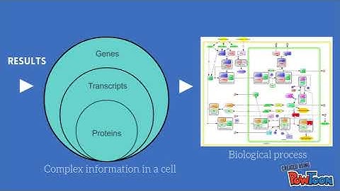 Introduction to Functional Genomics