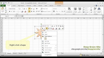 MS Excel 2010 / How to add text to shape