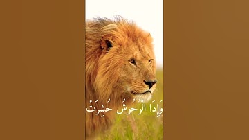سورة التكوير | عبد الباسط عبد الصمد 🌕☀️🌟