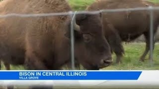 Celebrating Central Illinois Farmers with Jacob Dickey