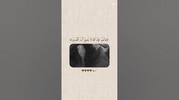 قرآن كريم # #اللهم_صل_على_محمد_وال_محمد #اكسبلور_explore #اكسبلور #لايك #الرحمن #المصحف