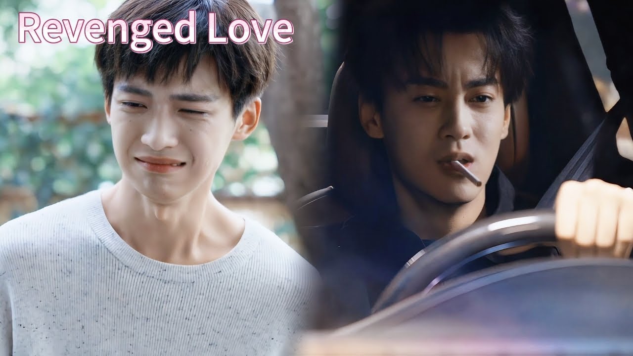 Разрыв! Чи узнал правду о Да Бао 💔 Уходят в слезах 😭 Это так больно!