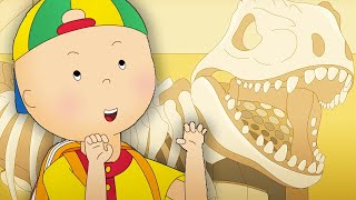 Dinosaur Museum | Caillou Cartoon