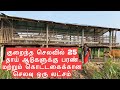 Low cost stall fed shed for 25 parent goats