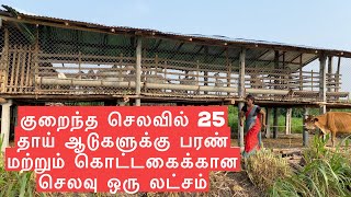 Low cost stall fed shed for 25 parent goats