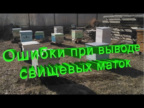 Профессор Кашковский: Классические ошибки при выводе свищевых маток