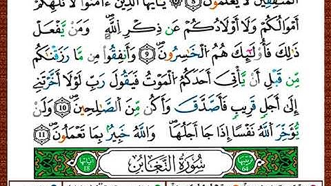 ختمة مصحف التجويد برواية قالون الصفحة رقم 555