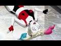 HARLEY QUINN Season 5 Episode 5 BESTSCENES! ax DC Series #HarleyQuinn #DC #Max