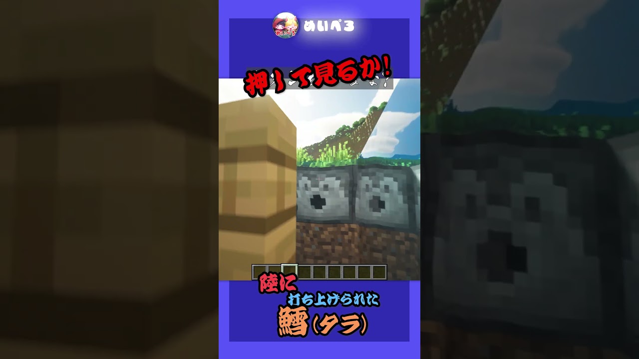 鱈 #めいぺろ #マイクラ #minecraft #マインクラフト #ゲーム実況 #男女