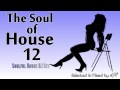 The Soul of House Vol. 12 (Soulful House Mix)