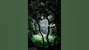 وتوكل على العزيز الرحيم ،إسم قارئ إسلام صبحي