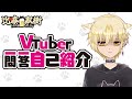 【VTuber一問一答】初投稿で自己紹介#比奈双樹【自己紹介】