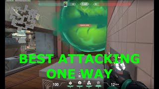 All Viper One Way Smokes on Split