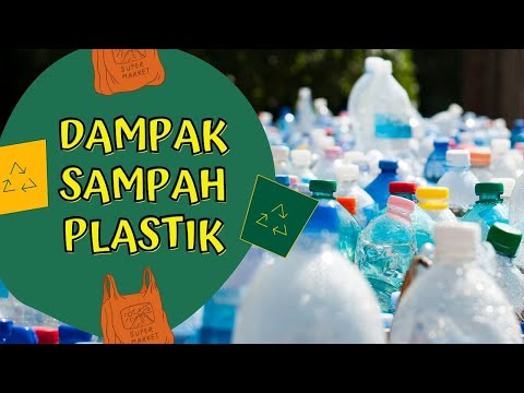 Video: Apa pengaruh membuang sampah pada tanaman?