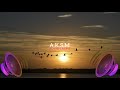 Xad - Birds (A.K.S.M Music)