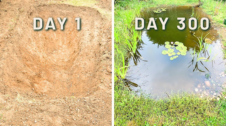 Building a Wildlife Pond Part 1: How It Started