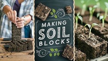 Making Soil Blocks - Environmentally friendly way of reducing plastic usage in the  garden