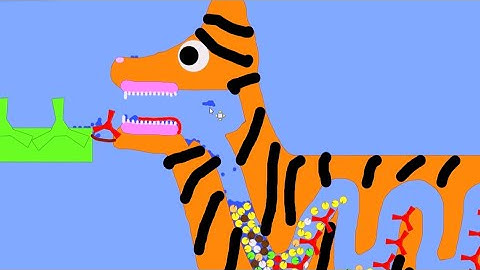 Algodoo | Cat Eats Food