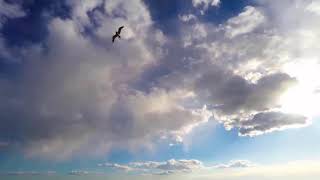 Clouds - original composition on two guitars (loopstation)