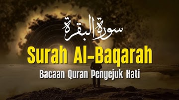Surah Al Baqarah سورة البقرة With Beautiful Sound Makes the Heart Quiet | Mansour Ali