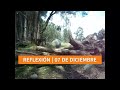 07 DE DICIEMBRE | NO SÉ A DÓNDE ME LLEVARÁ ESTO