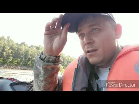 Трудовая рыбалка плюс обкатка мотора