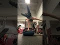 Haven’t done a 1 arm bosu handstand in a while surprised it’s still easy #calisthenics #handstand