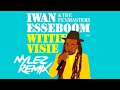Iwan Esseboom & The Funmasters - Wittie Visie (Nylez Remix)
