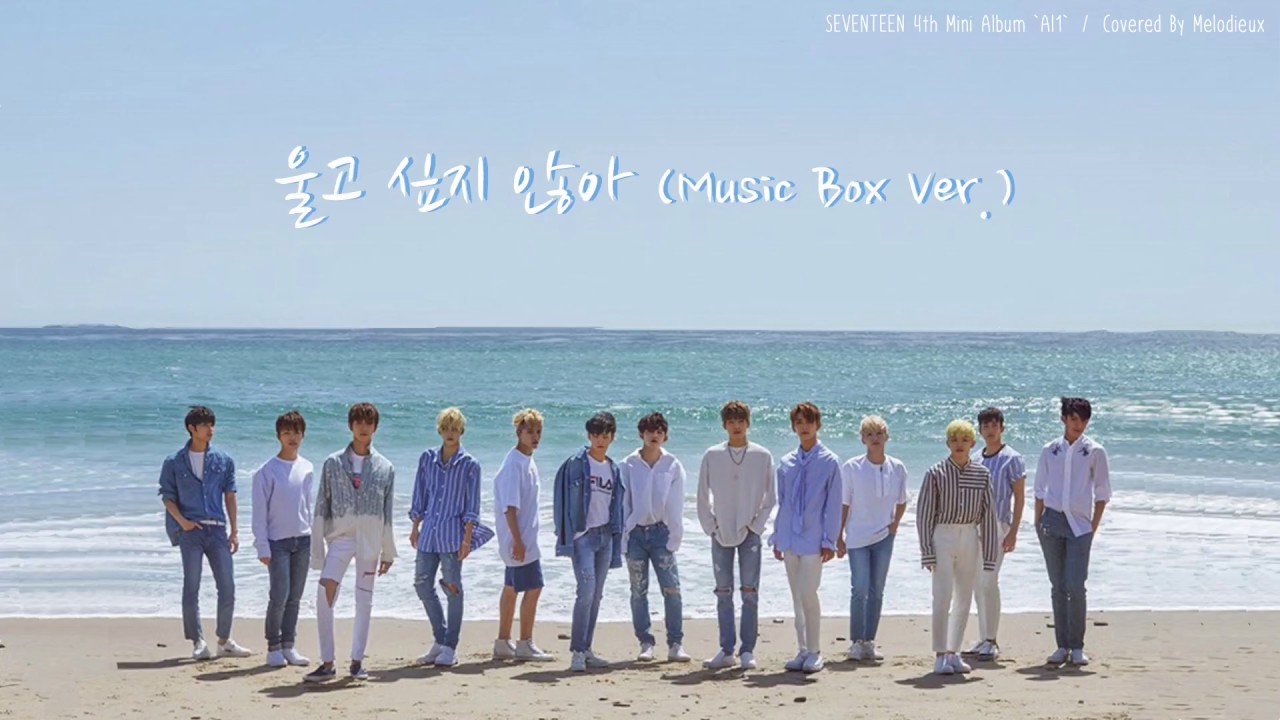 세븐틴 (SEVENTEEN) - 울고 싶지 않아 (Don't Wanna Cry) Music Box Ver. | 오르골 커버 버전