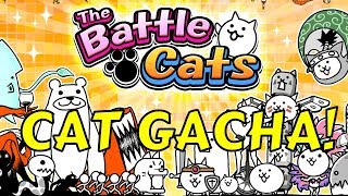 The Battle Cats - BASE DEFENDING CHAOS FIRST IMPRESSIONS screenshot 1