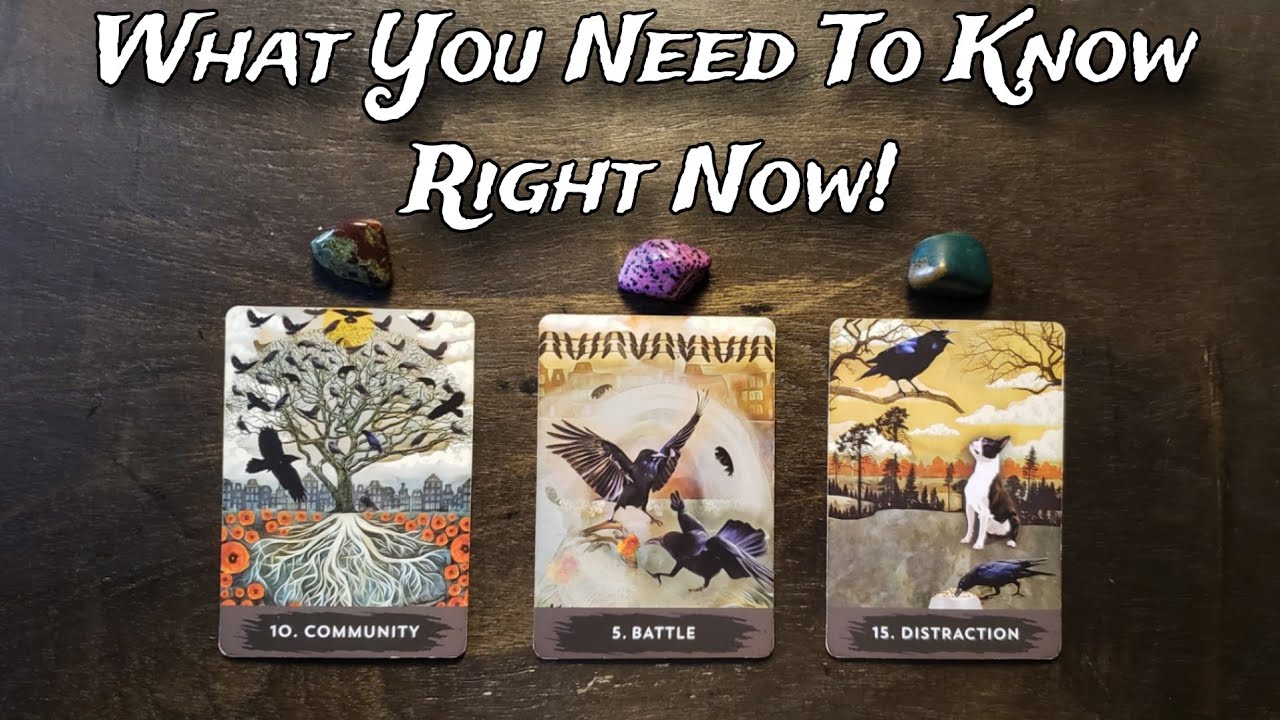🧝‍♀️🌟 What You Need To Know Right Now! 🧚‍♂️🌈 Pick A Card Reading