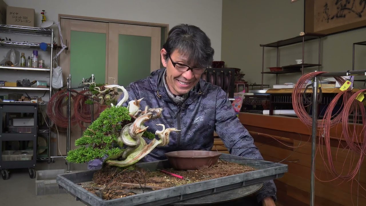 Koji Hiramatsu Takamatsu Bonsai Channel