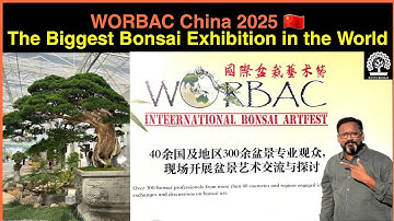 🇨🇳 China Biggest Bonsai Exhibition 2025 // WORBAC