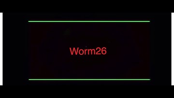 Trolling a bot (gone wrong?)