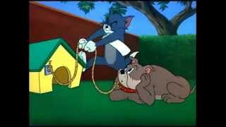 Tom & Jerry Head Shake