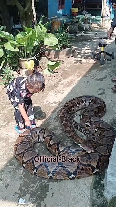 She was to touched the big snake๐คฃ ๐ #explore #funny #comedy #viralvideo