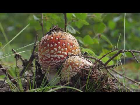 Кольский полуостров ч.2 | Мировой вояж