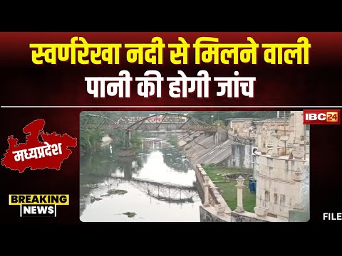 Gwalior News: स्वर्ण रेखा नदी से मिलने वाले पानी की होगी जांच। HC के आदेश पर लिए गए पानी के सैंपल