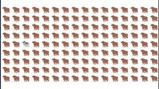 Find out odd emojis 😂😜 can you #guess #emoji #games #puzzle #quiz #emojichallenge #riddles