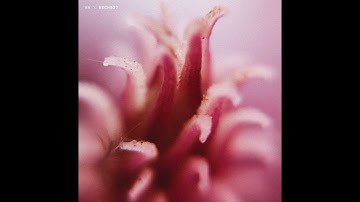 Franz Jäger — Get Simon to sync [NECH032]