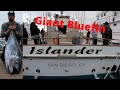 Part 1 giant bluefin 1 12 day trip islander sportfishing fishermans landing san diego ca