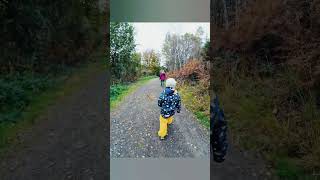 #shorts #shortsvideo #wald #herbst #kids #spaziergang #wälder #germany