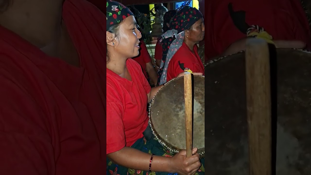 महिला हरू द्वारा नेपाली पञ्चे बाजा  प्रस्तुत 🥰🥰 दशैँ काला रात्रि को  रमाइलो झलक .. गुल्मी.. 🥰