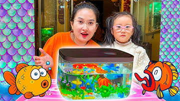 Changcady ra ngoài đồng bắt con cá, con cua, trang trí bể cá lego