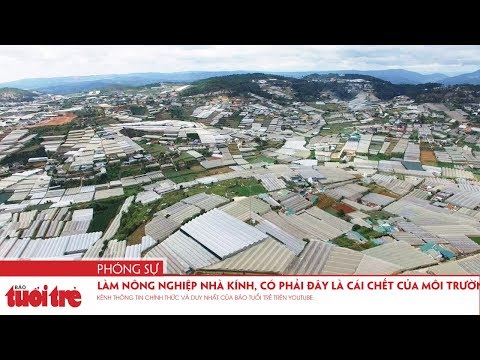 Video: Đất Nhà Kính