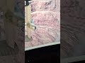 19 января 2025 г.