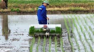 The Fastest Mini Rice Transplanting  Machine works on big farm