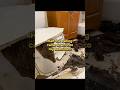 Part 7, the continuing timeline of my landlord, S.I.G. Property Mgmt and their pattern of neglect