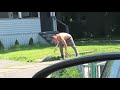 Meth Addict Tweaking Watertown NY July 17 2019 Meth Addict Tweaking Watertown NY July 17 2019