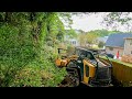 Extreme ivy overgrowth in backyard forestry mulching